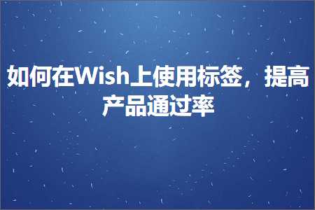 璺ㄥ鐢靛晢鐭ヨ瘑:濡備綍鍦╓ish涓婁娇鐢ㄦ爣绛撅紝鎻愰珮浜у搧閫氳繃鐜? width=